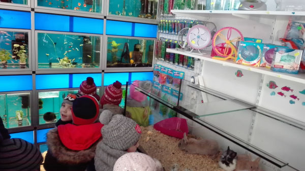 Wizyta w sklepie zoologicznym