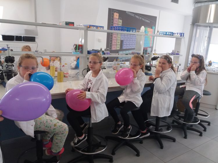 Zajęcia w laboratorium