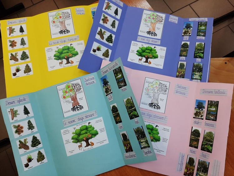 Lapbook czyli książka na kolanach