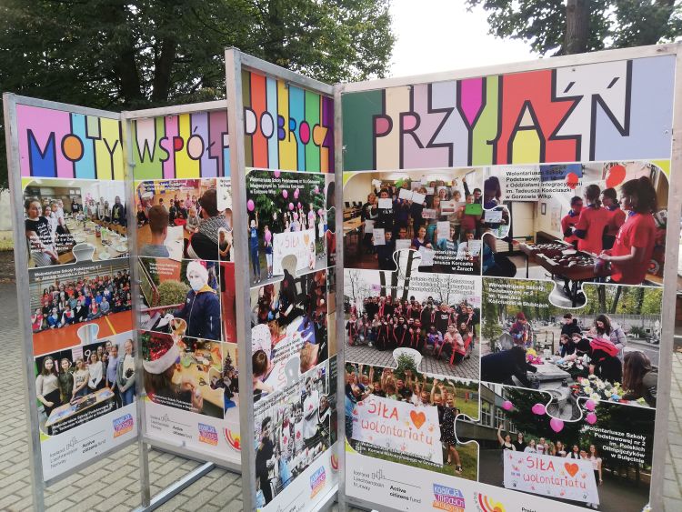 Siła Wolontariatu