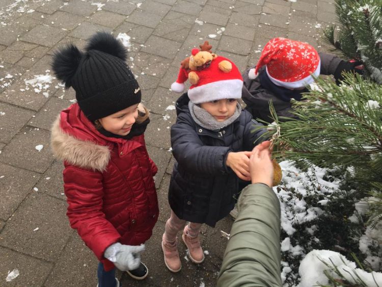 Dbamy o ptaszki zimą