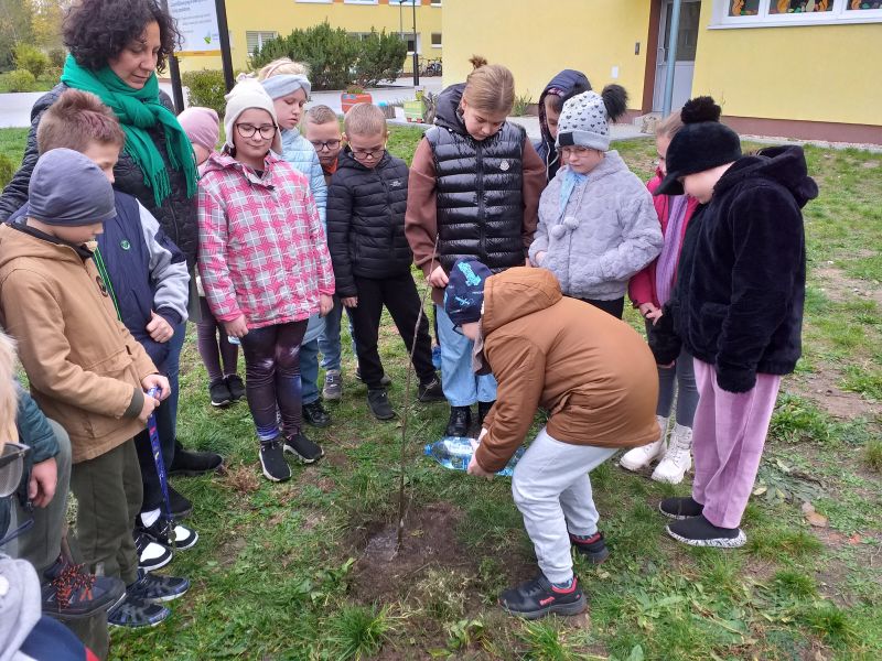 Drzewo do samego nieba