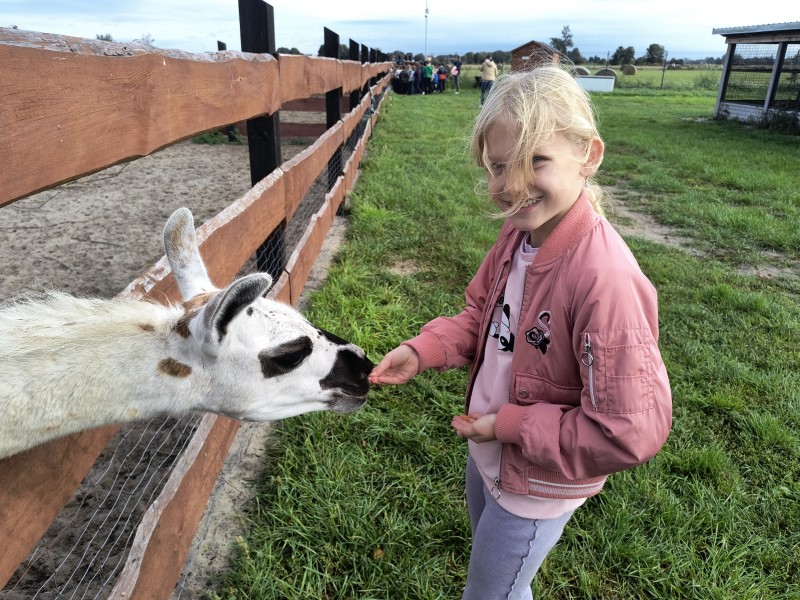 Zdjęcie - Wycieczka 2c i 2d do Rancza Zwierzogród