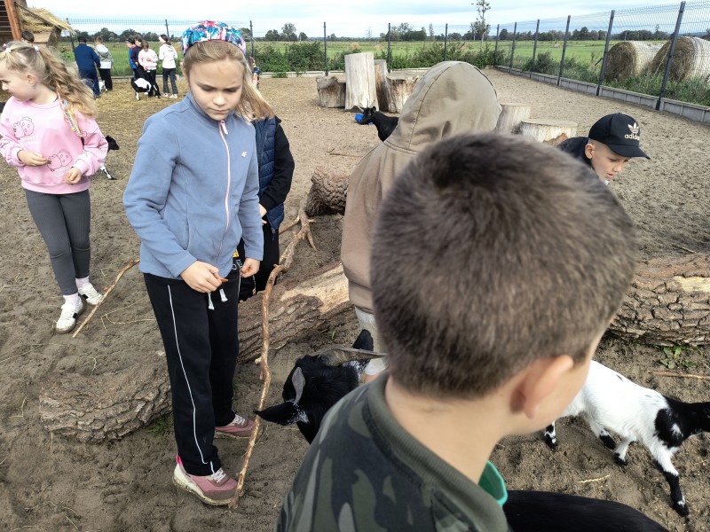 Zdjęcie - Wycieczka 2c i 2d do Rancza Zwierzogród