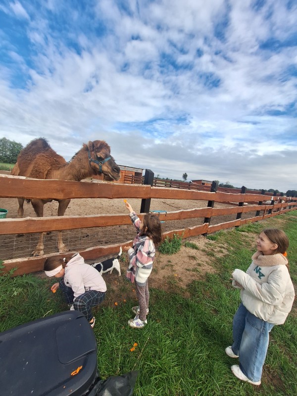 Zdjęcie - Wycieczka 2c i 2d do Rancza Zwierzogród