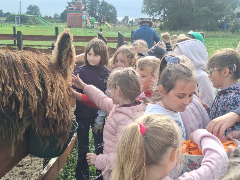 Wycieczka 2c i 2d do Rancza Zwierzogród