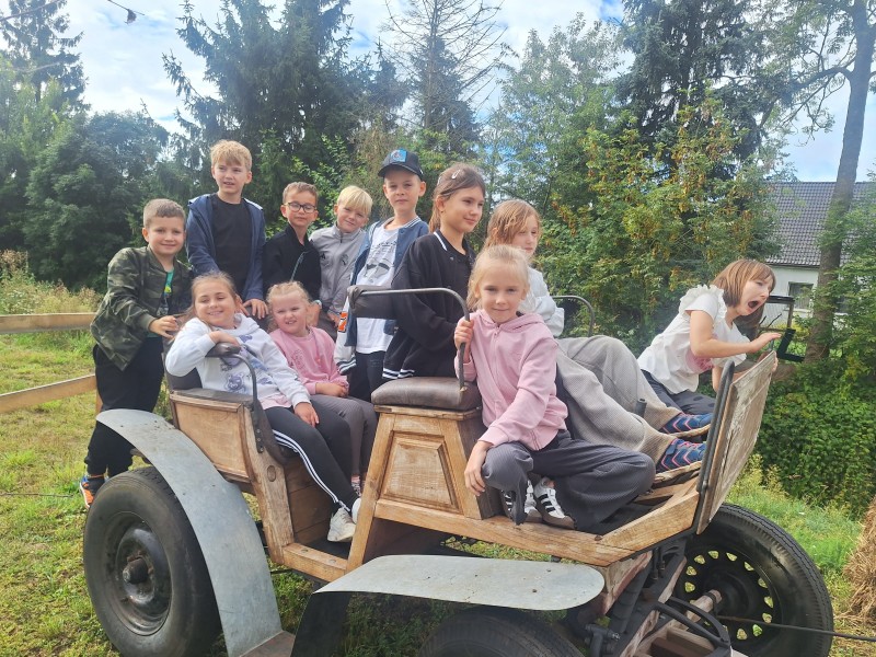 Zdjęcie - Wycieczka 2c i 2d do Rancza Zwierzogród