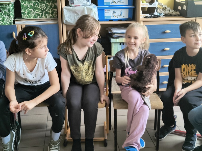 Zdjęcie - Jak  zmienia się las jesienią?