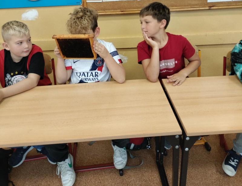 Zdjęcie - Warsztaty pszczelarskie - poznajemy świat pszczół