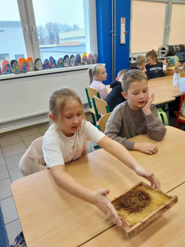 Zdjęcie - Warsztaty pszczelarskie - poznajemy świat pszczół