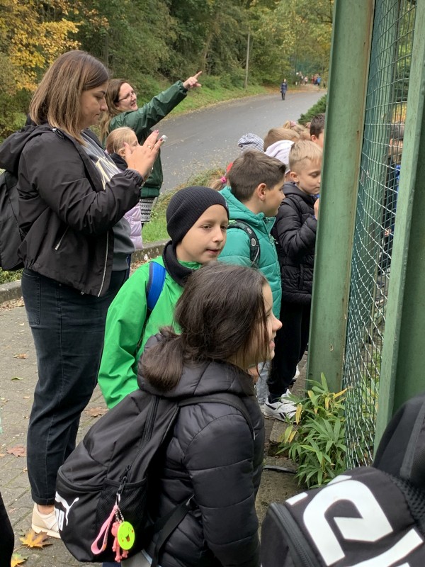 Zdjęcie - Wycieczka klas 1a i 2b do ZOO w Poznaniu
