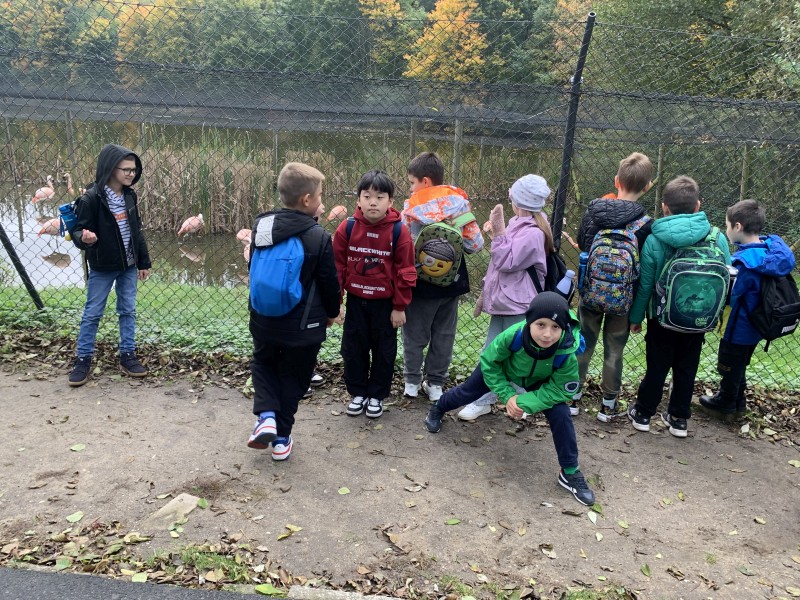 Zdjęcie - Wycieczka klas 1a i 2b do ZOO w Poznaniu