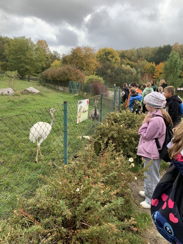 Zdjęcie - Wycieczka klas 1a i 2b do ZOO w Poznaniu
