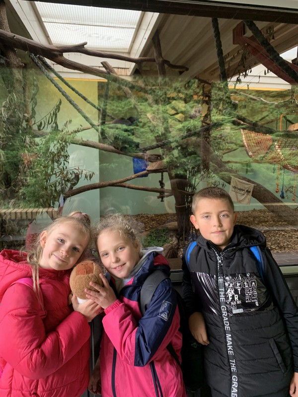 Zdjęcie - Wycieczka klas 1a i 2b do ZOO w Poznaniu