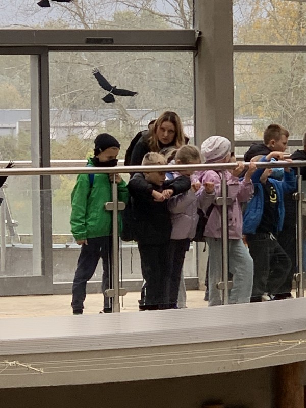 Zdjęcie - Wycieczka klas 1a i 2b do ZOO w Poznaniu