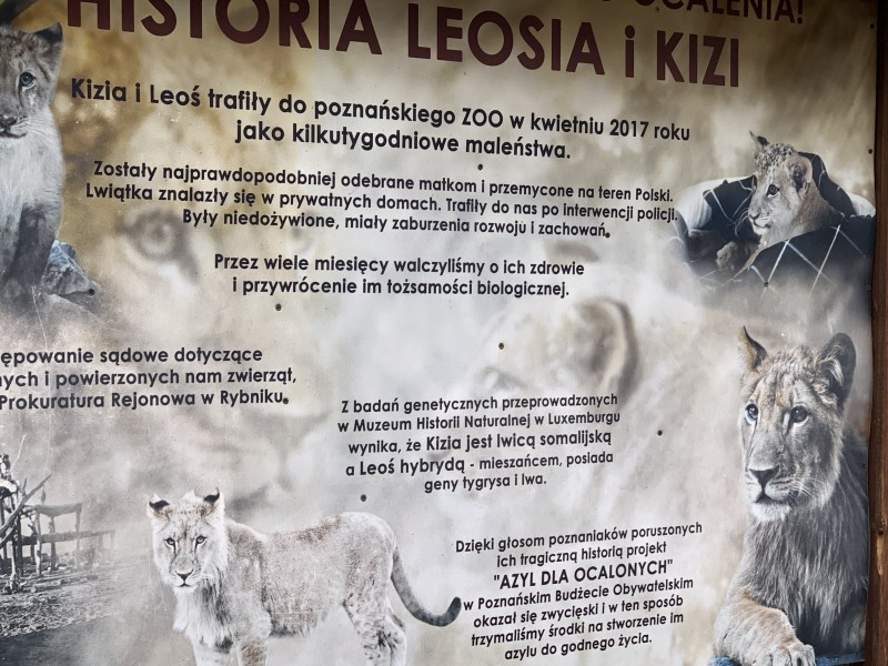 Zdjęcie - Wycieczka klas 1a i 2b do ZOO w Poznaniu