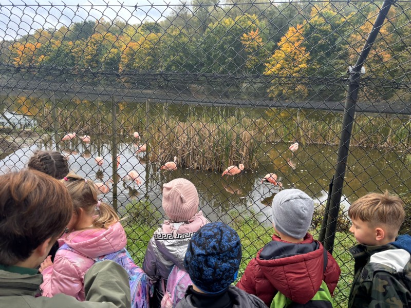 Zdjęcie - Wycieczka klas 1a i 2b do ZOO w Poznaniu