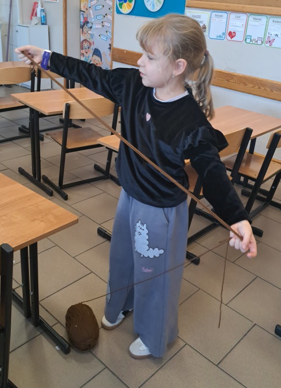 Zdjęcie - Wełniane włosy