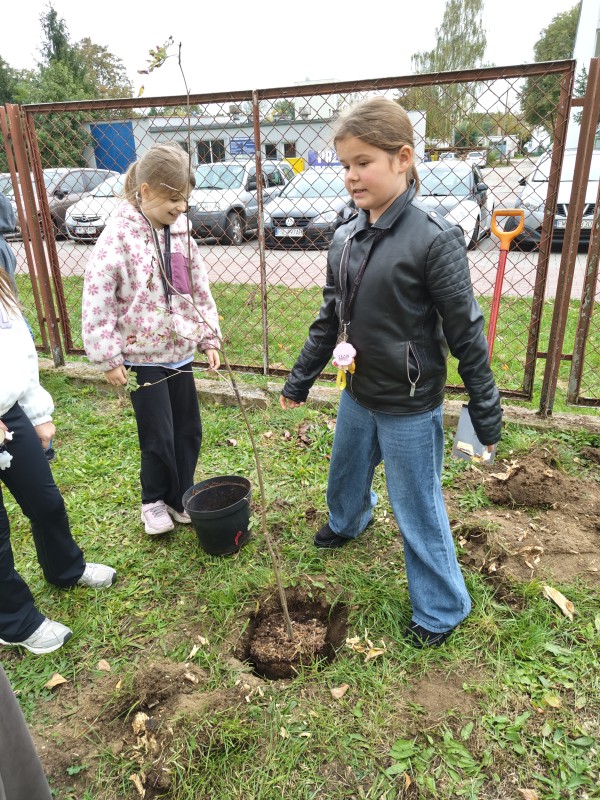 Zdjęcie - Klasa 3a posadziła drzewa